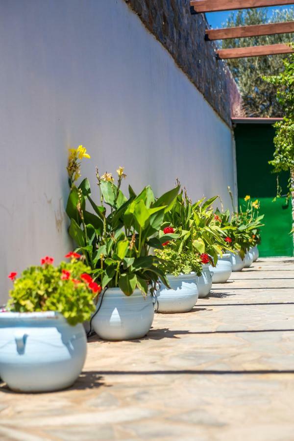 Villa Helios Kalathos Luaran gambar